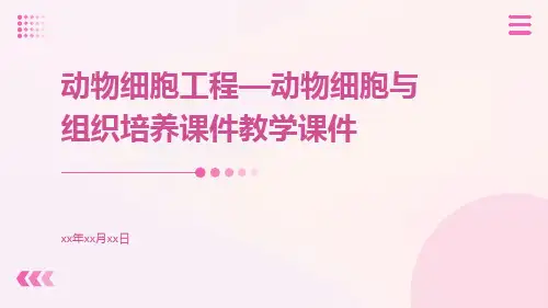 动物细胞工程—动物细胞与组织培养课件教学课件