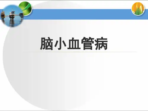 脑小血管病PPT【30页】