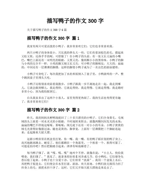 描写鸭子的作文300字