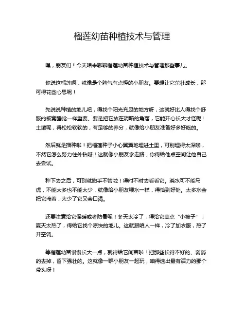 榴莲幼苗种植技术与管理