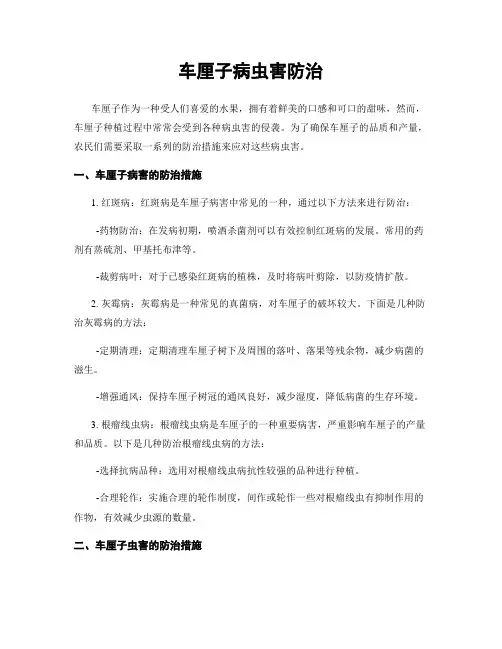 车厘子病虫害防治