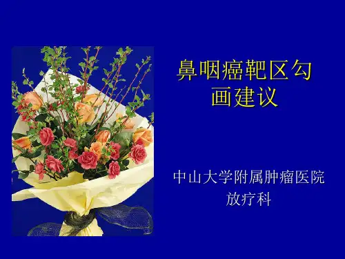 鼻咽癌靶区勾画-罗伟