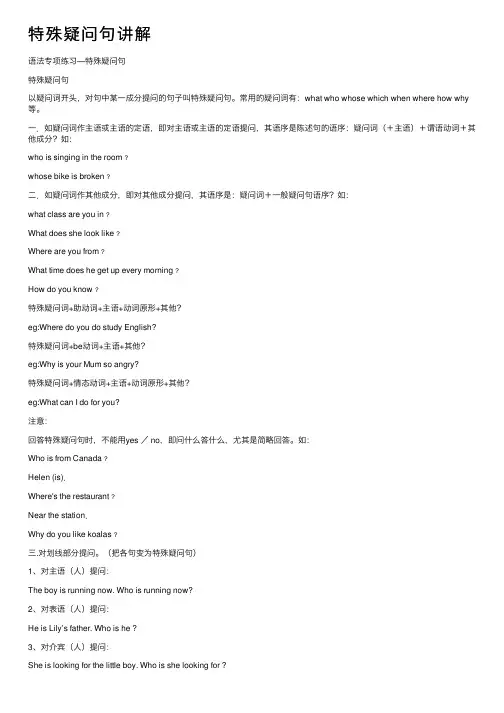 特殊疑问句讲解