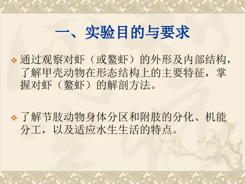 实验七 日本沼虾及其它节肢动物_PPT课件