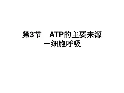 高中生物必修一课件-5.3 ATP的主要来源──细胞呼吸26-人教版