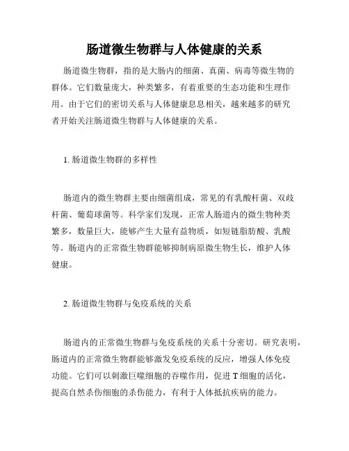 肠道微生物群与人体健康的关系