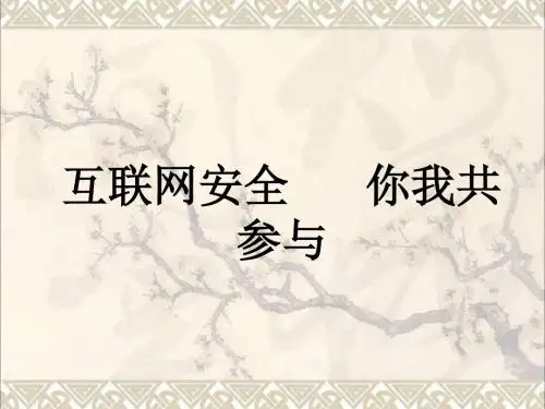 2017年中考政治热点复习——互联网安全你我共参与课件