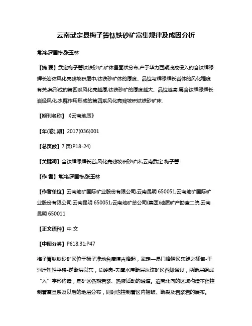 云南武定县梅子箐钛铁砂矿富集规律及成因分析