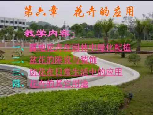 园艺花卉课件第六章 花卉的应用