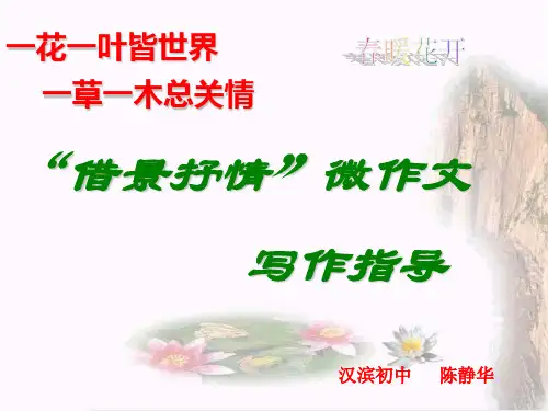 借景抒情微作文指导-1