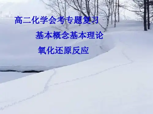 高考专题：基本概念基本理论复习一氧化还原反应PPT课件