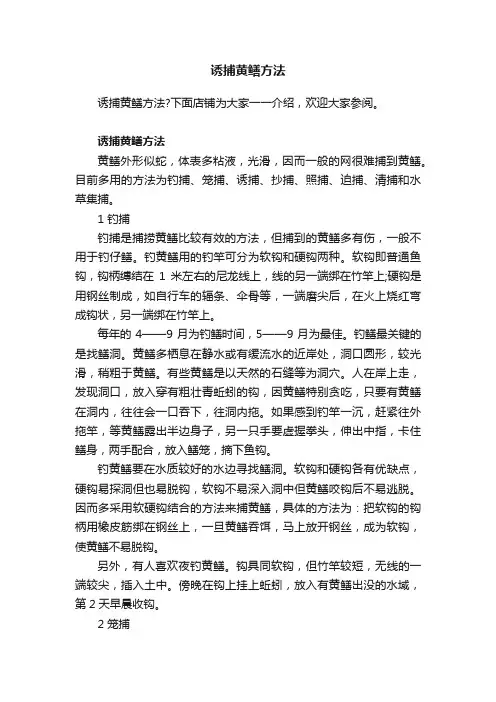 诱捕黄鳝方法