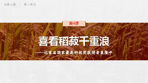 部编版语文《喜看稻菽千重浪》优秀教学课件
