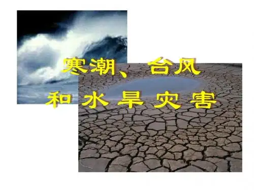 八年级地理寒潮台风和水旱灾害