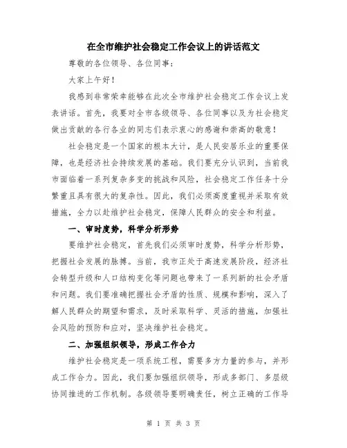 在全市维护社会稳定工作会议上的讲话范文