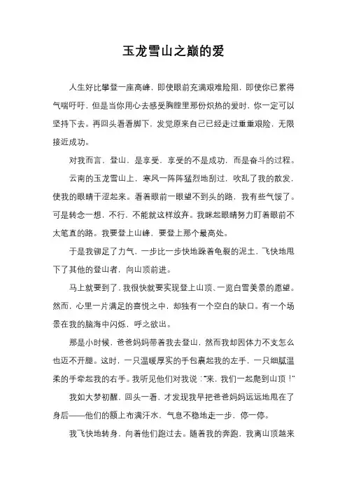 《中文自修》优秀作文(3)