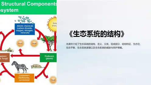 《生态系统的结构》课件