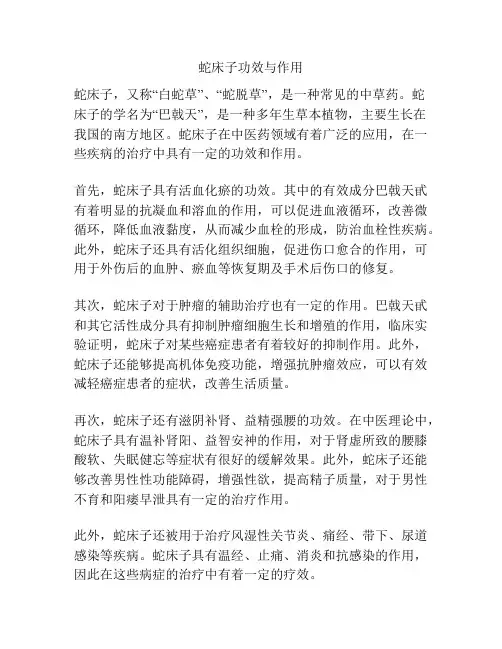 蛇床子功效与作用