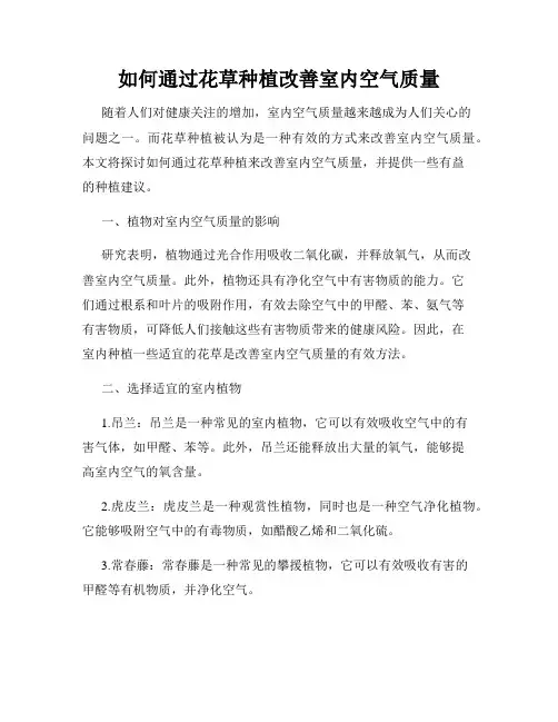 如何通过花草种植改善室内空气质量