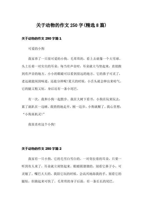 关于动物的作文250字(精选8篇)