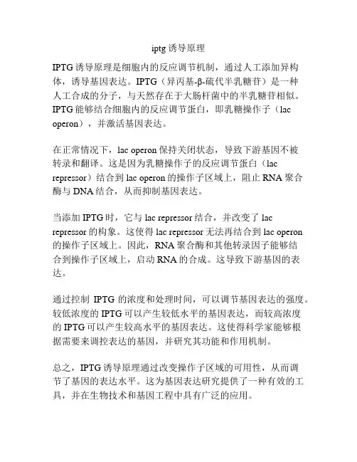 iptg诱导原理