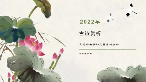 关于荷叶的几首古诗赏析PPT课件