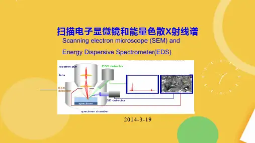 现代仪器分析SEMEDS.完整资料PPT