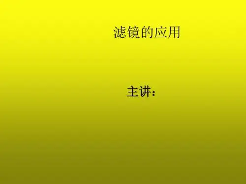 Photoshop CS3图形图像处理模块八   滤镜的应用