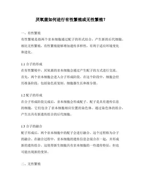 厌氧菌如何进行有性繁殖或无性繁殖？