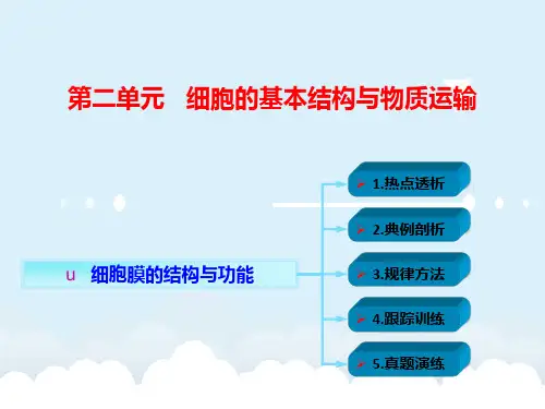 高考生物一轮复习 第二单元 细胞的基本结构与物质运输 01 细胞膜的结构与功能课件 新人教版