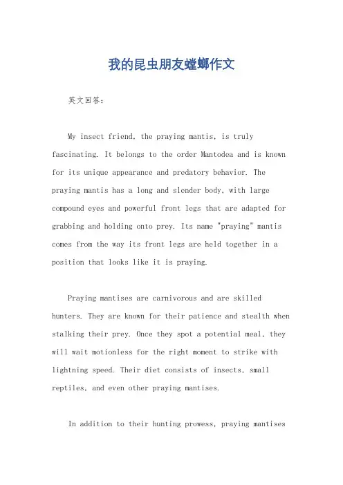 我的昆虫朋友螳螂作文
