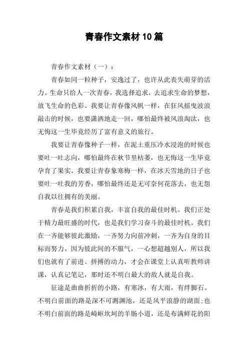 青春作文素材10篇