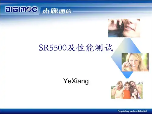 SR5500及性能测试