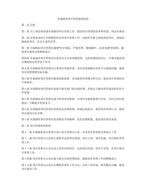 乡级镇府项目管理规章制度