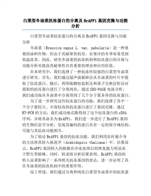白菜型冬油菜抗冻蛋白的分离及BrAFP1基因克隆与功能分析
