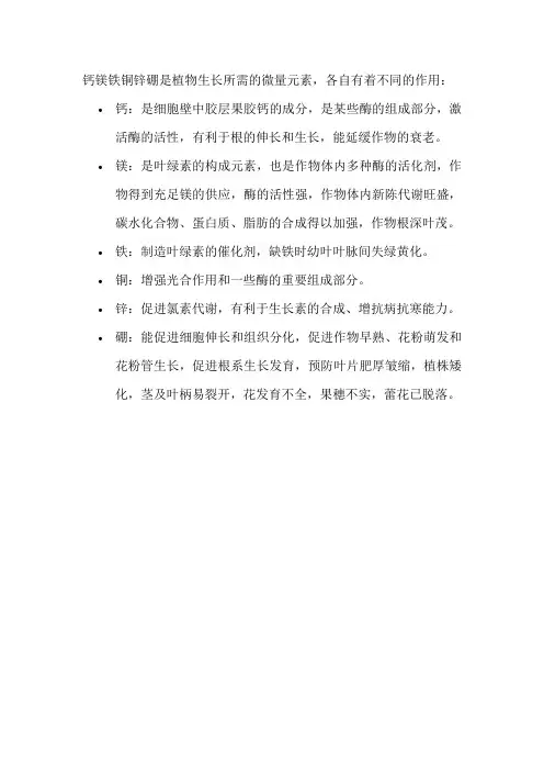 钙镁铁铜锌硼