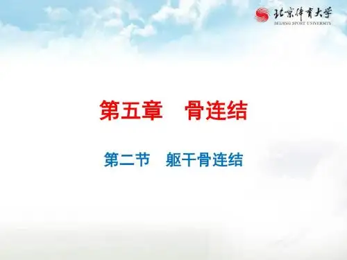 09躯干骨和颅骨连结
