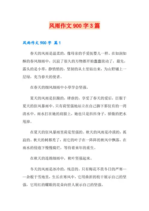 风雨作文900字3篇【新编】