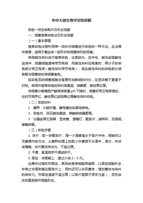 华中大微生物学实验讲解