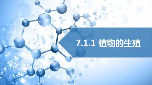 《植物的生殖》PPT免费课件