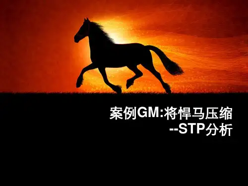 飞奔悍马市场营销案例分析
