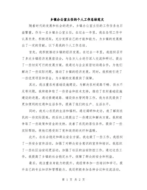 乡镇办公室主任的个人工作总结范文