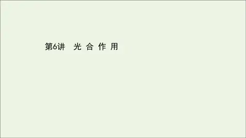 浙江专用2022年高考生物一轮复习第三单元细胞的代谢第6讲光合作用课件浙科版必修1.ppt