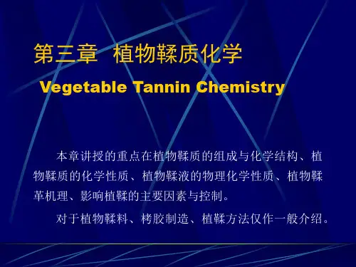 鞣制化学第三章全篇