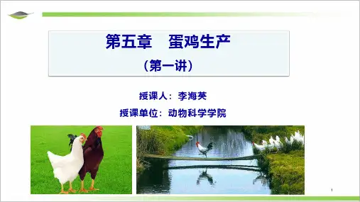 第五章 蛋鸡生产(第一讲)