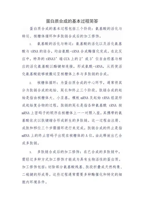 蛋白质合成的基本过程简答
