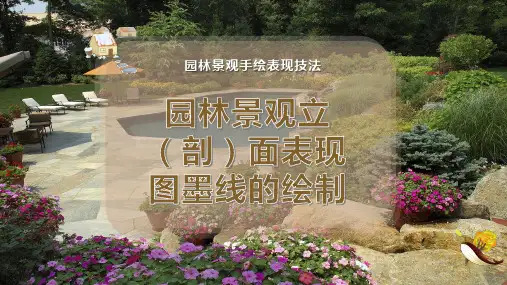 园林景观立(剖)面表现图墨线的绘制