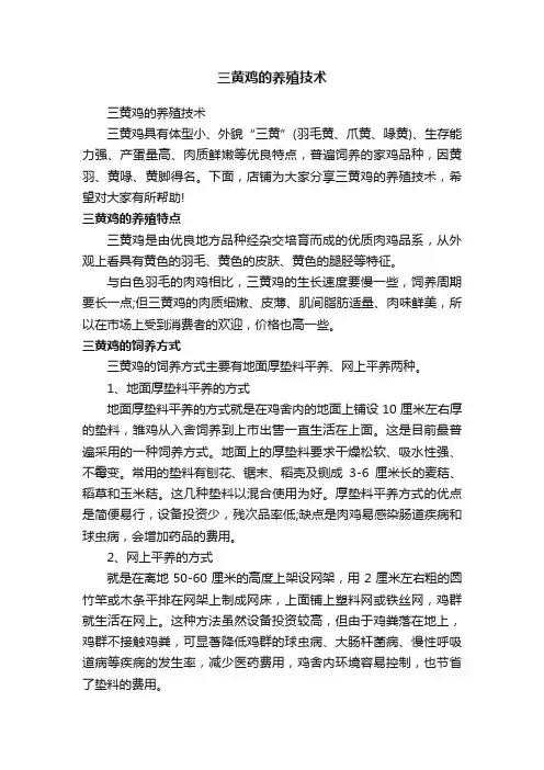 三黄鸡的养殖技术