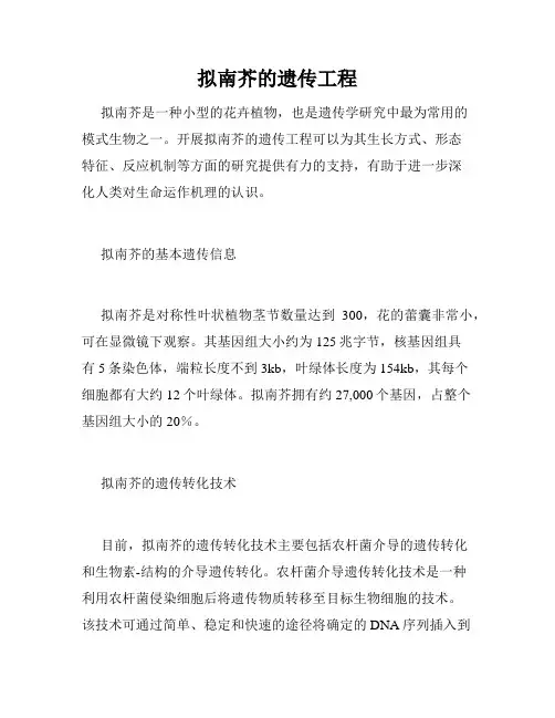 拟南芥的遗传工程