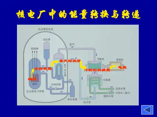 反应堆原理图